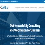 akea web solutions homepage screenshot