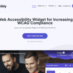 Accessibly Review and Pricing