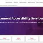 Damco Solutions Review and Pricing