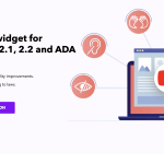 All in One Accessibility Review and Pricing